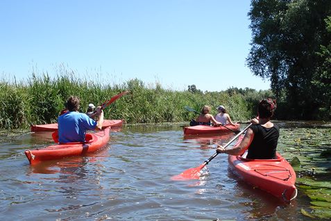 Prachtige kanotocht richting Enkhuizen: geniet van de kalme wateren en het romantische landschap bij Klimpark Streekbos.